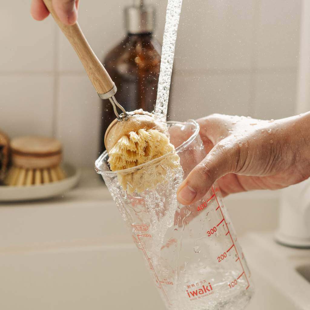 Long Handle Bamboo Dish Brush
